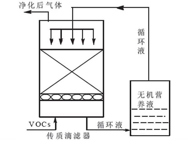 產品實體圖