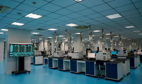 新聞多一點(diǎn)丨走進(jìn)長(zhǎng)江畔的九江石化綠色智能煉化工廠