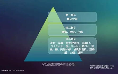2017中國(guó)網(wǎng)絡(luò)視聽(tīng)發(fā)展報(bào)告 用戶付費(fèi)意識(shí)崛起與網(wǎng)生內(nèi)容品質(zhì)化轉(zhuǎn)型
